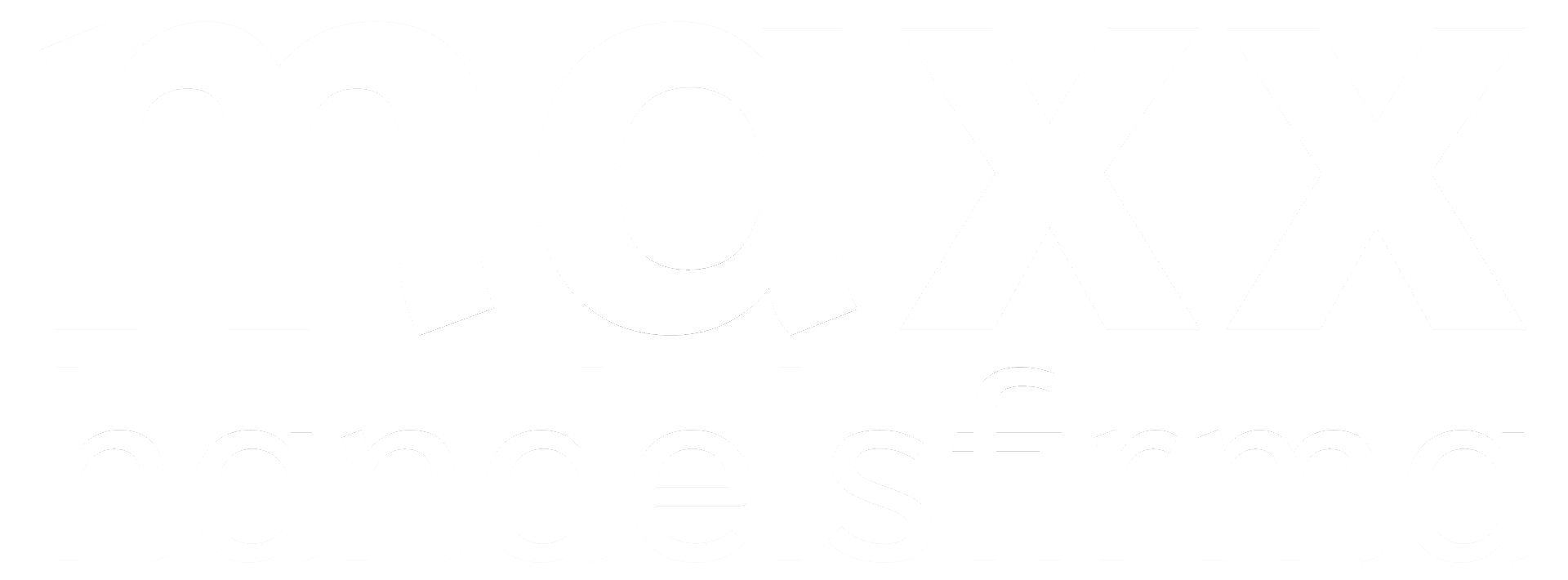 maxx handelsfirma